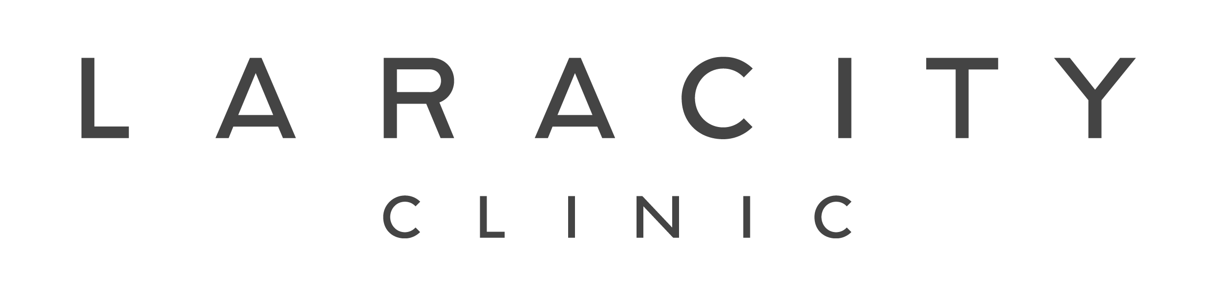 laracity-logo